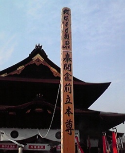 P1000231.jpg